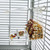 Parrot Food Mate - Acrylic Less Mess Feeder - Small 2