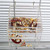 Parrot Food Mate - Acrylic Less Mess Feeder - Small 4