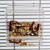 Parrot Food Mate - Acrylic Less Mess Feeder - Small 6