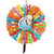 budgie in the rainbow ring toy