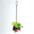 super_star_parrot_foraging_toy_344331_5.jpg