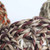 giant_sea_grass_ball_parrot_chew_toy_pack_of_3_345125_3 giant_sea_grass_ball_parrot_chew_toy_pack_of_3_345125_3