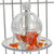 buffet ball cage mount parrot toy