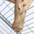 Extra Small Java Multibranch Natural Parrot Perch 5