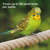bird_insecticidal_spray_564214_6