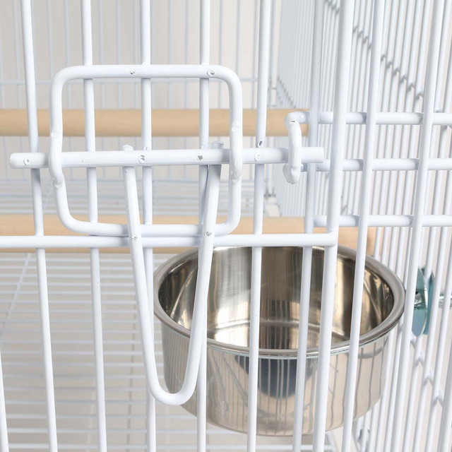 Stunning Cage Northern Recognition image