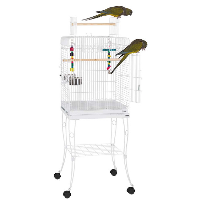 View of Small Parrot Cages | Best Cages For Small Parrots
