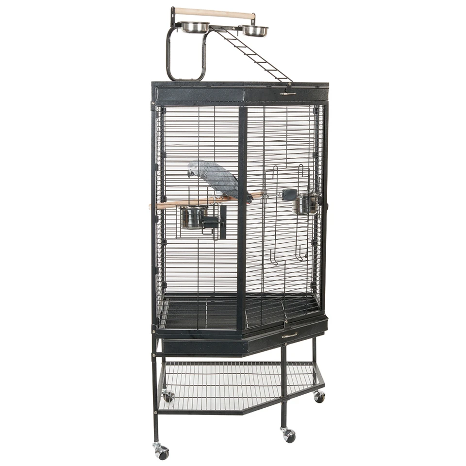 Small Parrot Cages | Best Cages For Small Parrots