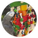 Chewtastic Parrot Toys 