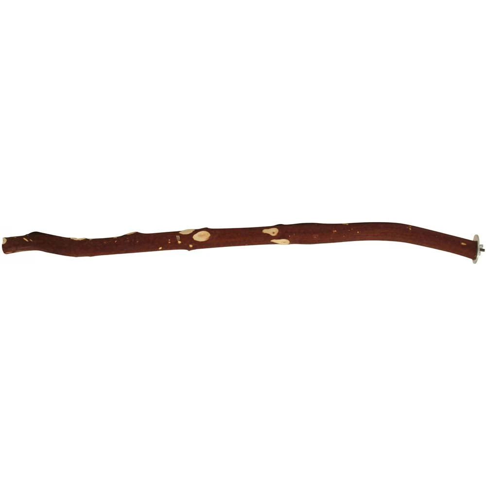 Picture of Large Macaw Accessories | Lights, Perches, Stands And More