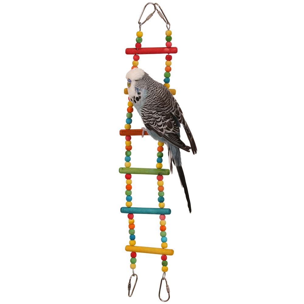 10 Pcs Parrot Swing Toys And Bird Perches Platform Martinique