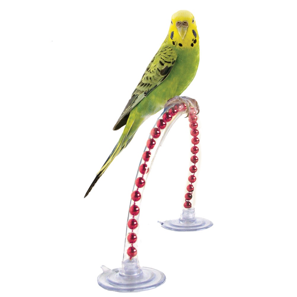 The Pal Perch  Portable Training Parrot Perch