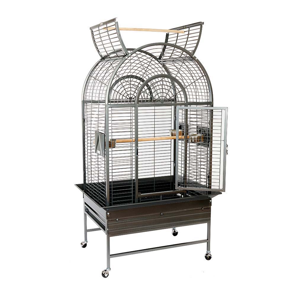 Solid Top Parrot Cages | Products Reviewed and How To Use Guide ...