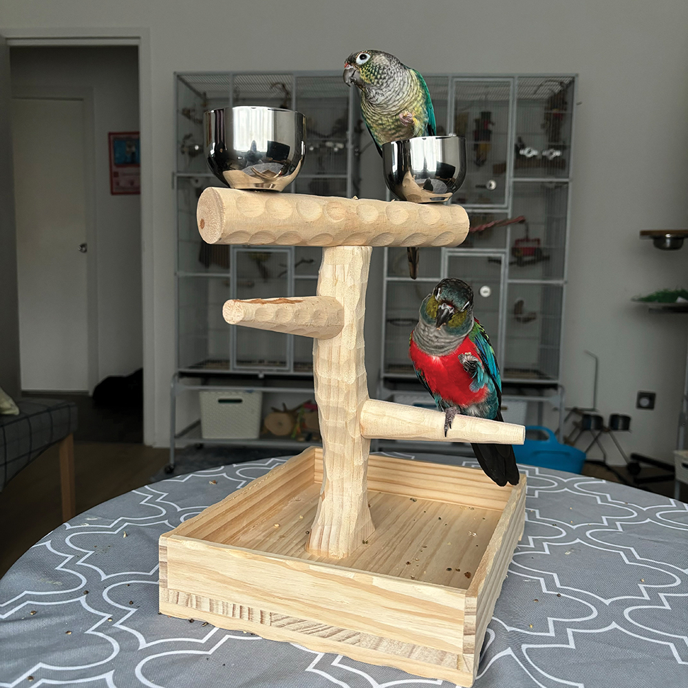 Java Midi Tree Natural Hardwood Parrot Stand Northern Parrots