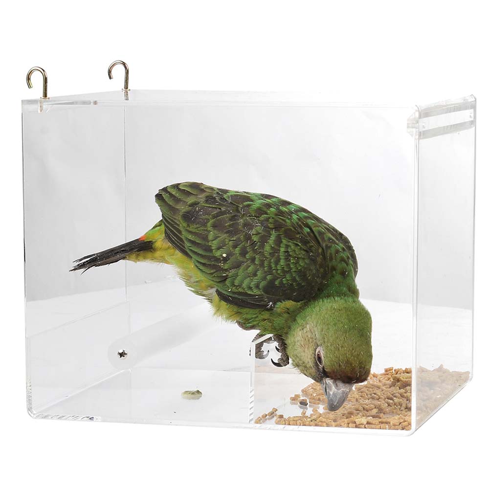 Conure Accessories | Perches, Stands, Harnesses, More