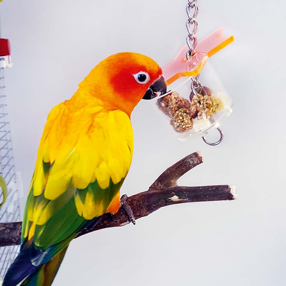 Parrot Rope Perch for Birds, Parrot Toys, Rope Bungee Bird Toy 1 Pack 4  Sizing Options 