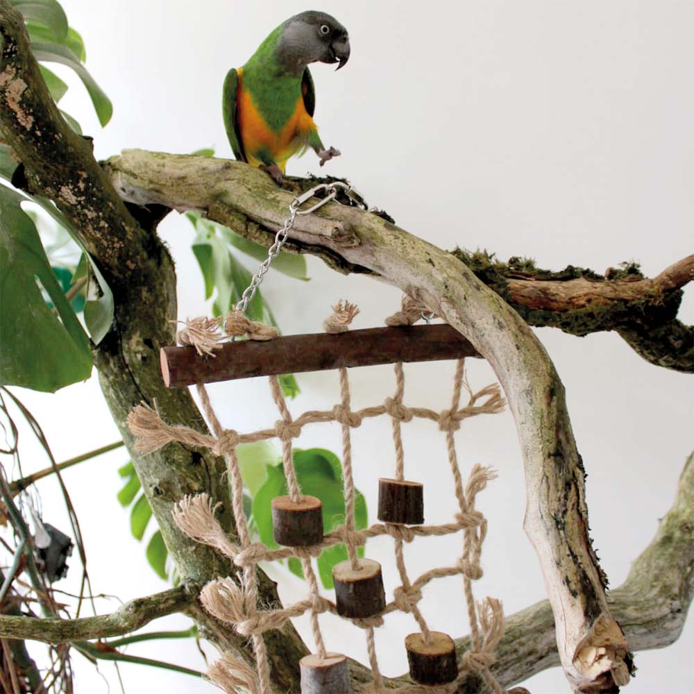 Parrot Orbit Cotton Climbing Swing Parrot Toy - Northern Parrots