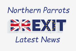 www.northernparrots.com