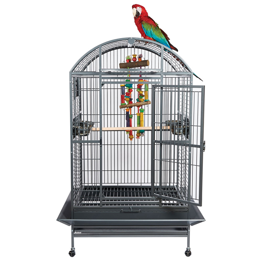 Visual Reference: About Rainforest Cages