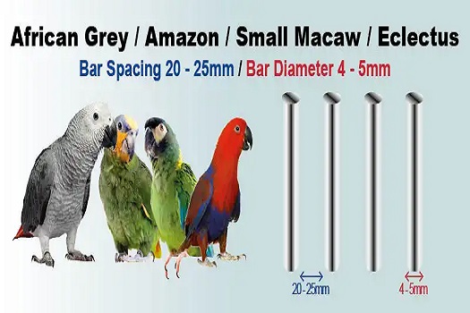 Amazon.com : 55