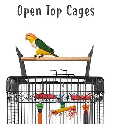 Open Top Parrot Cages | Products Review and How To Use Guide - Northern ...