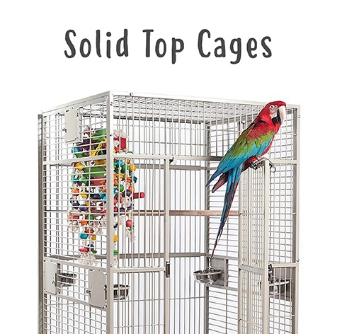 Image showcasing Solid Top Parrot Cages | Products Reviewed and How To Use Guide ...