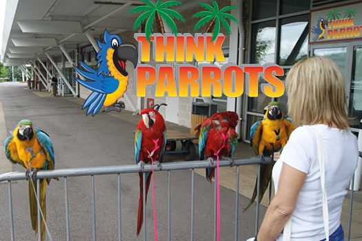 Think Birds Think Parrots 2019 Review - Northern Parrots