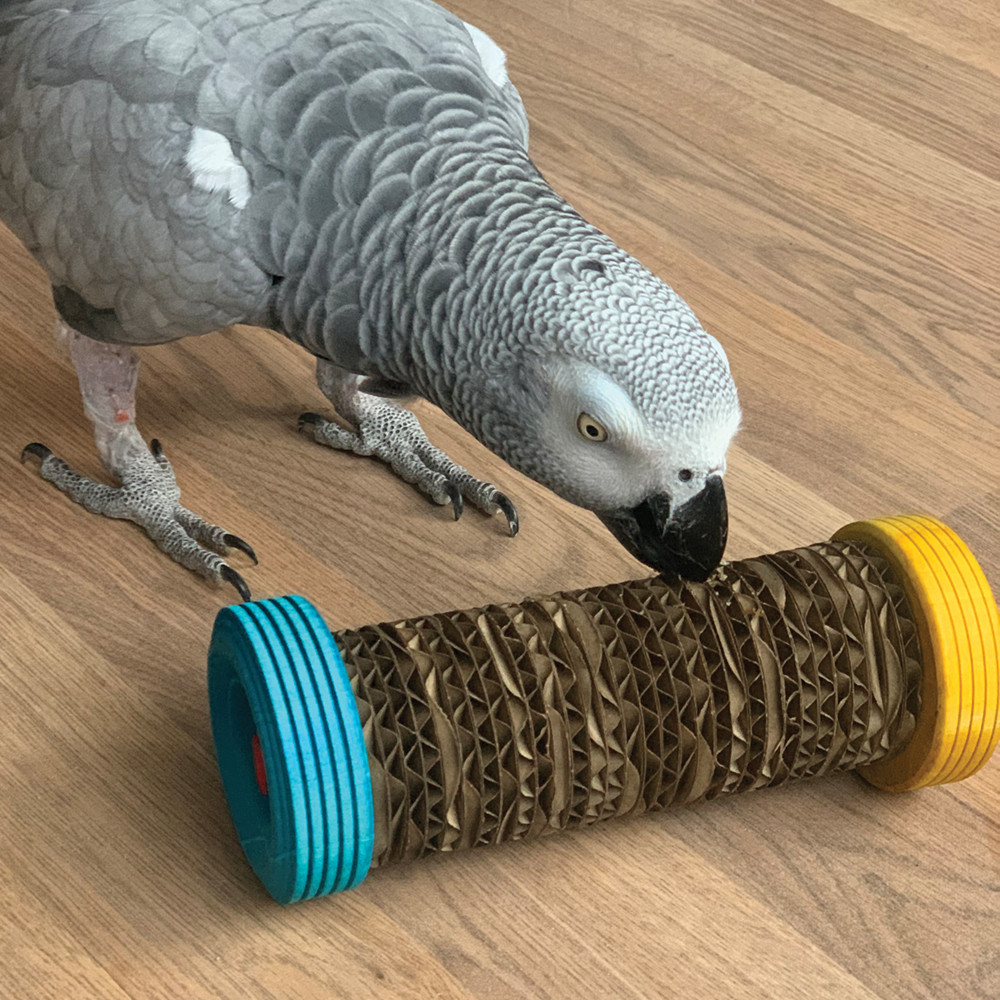 An image of Roll Over Chewable Foraging Parrot Toy
