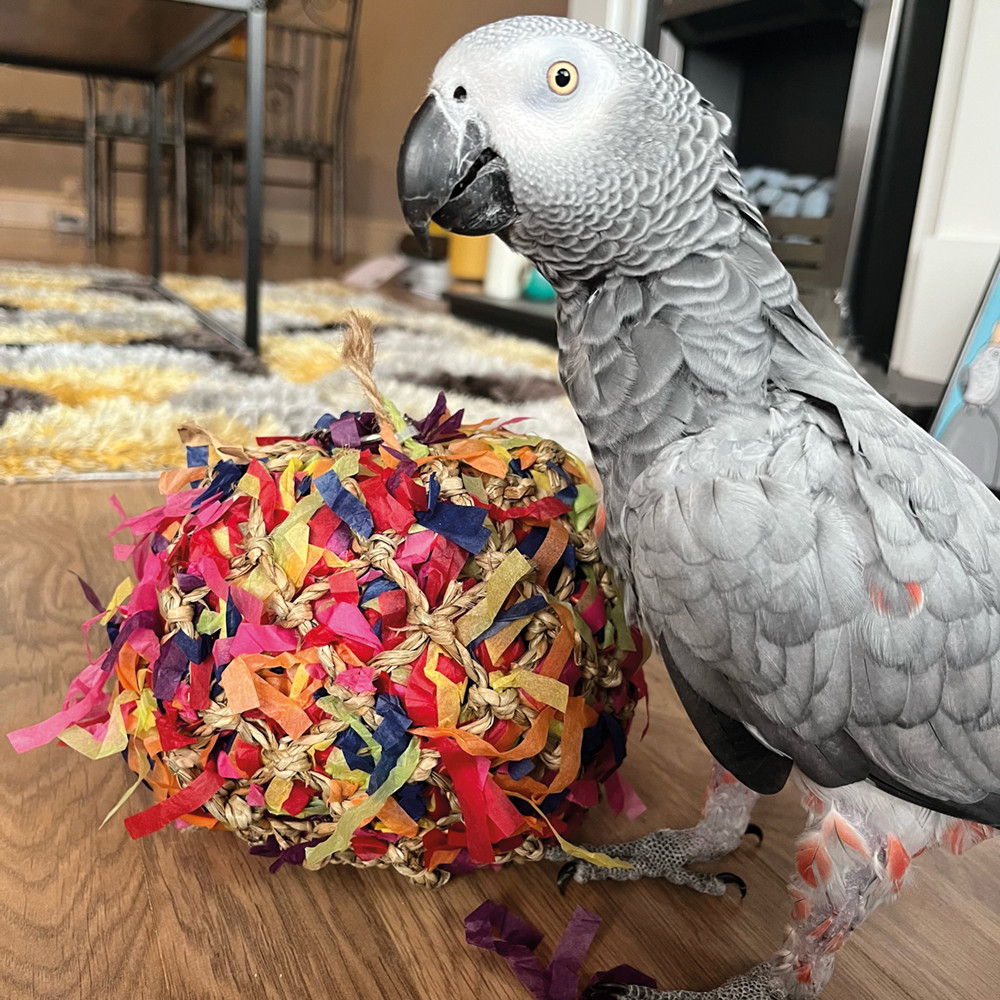 An image of Shreddable Foraging Ball Parrot Toy - Large