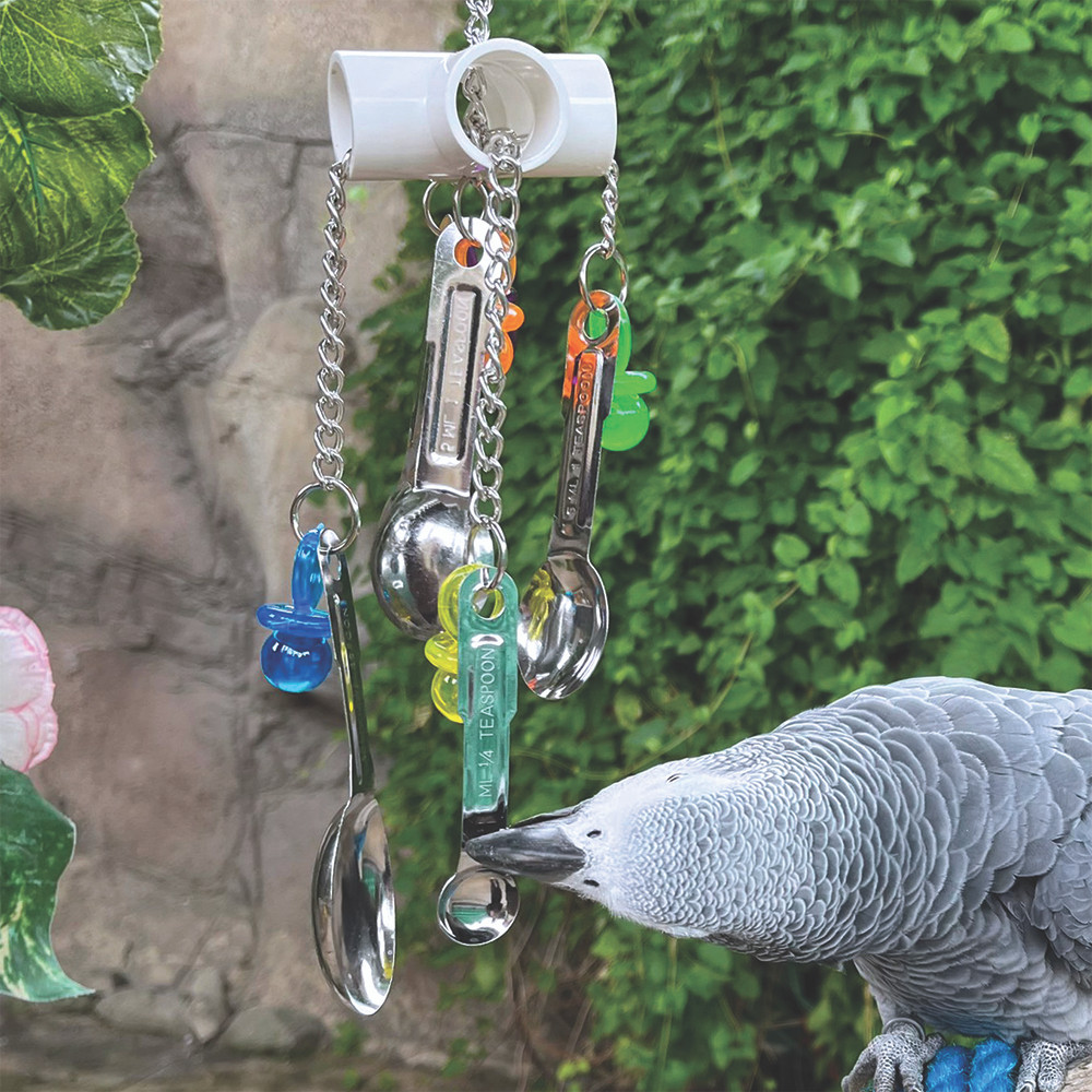 An image of Spoon Clacker Stainless Steel Parrot Toy
