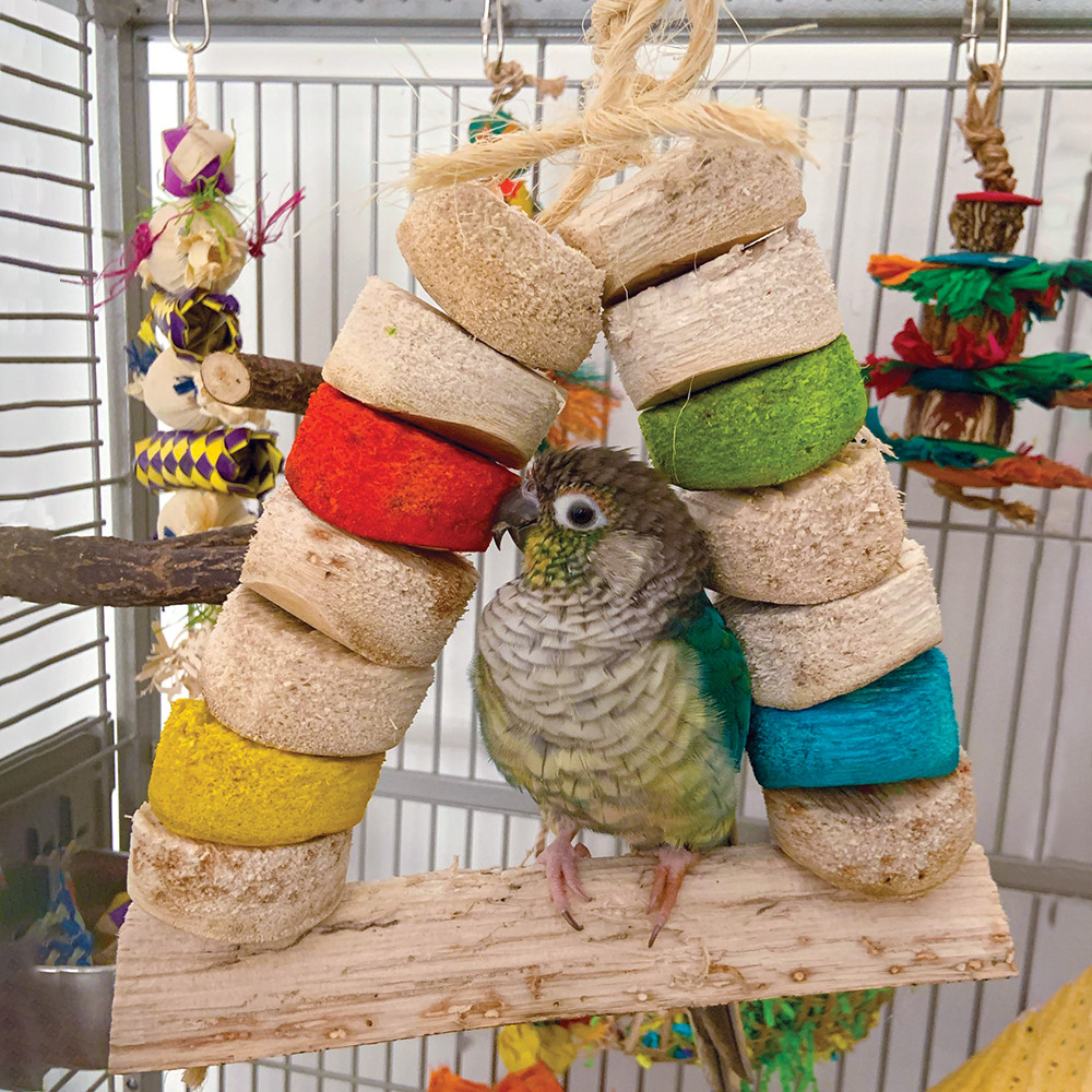 An image of Carnival Bird Kabob Swing Natural Parrot Toy Large
