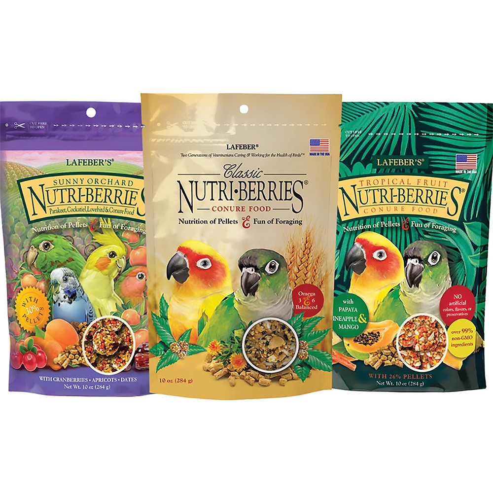 An image of Lafeber Small Parrot NutriBerries Complete Food - Pack of 3