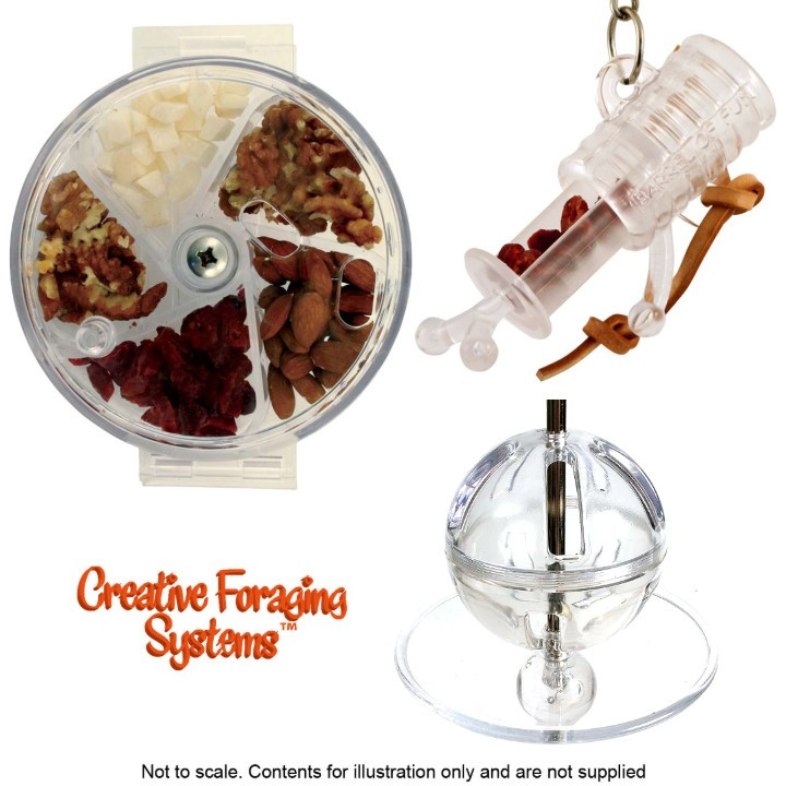 An image of Creative Foraging Parrot Toy Bundle