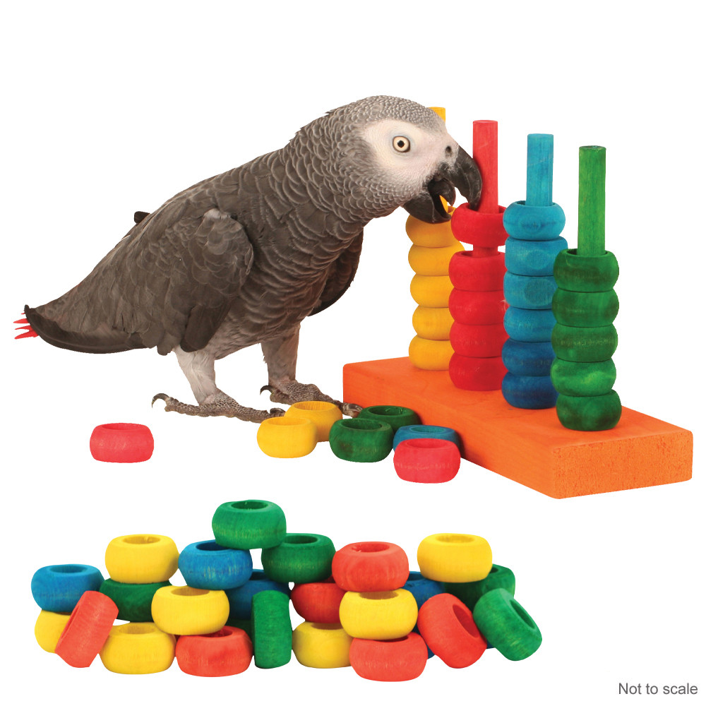 An image of Teacher Toy Activity Parrot Toy and Refill Pack Combo