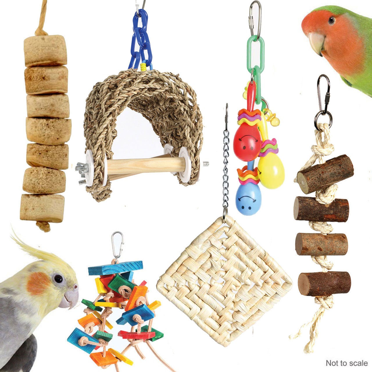 An image of Northern Parrot Cockatiel and Small Parrot Toy Pack