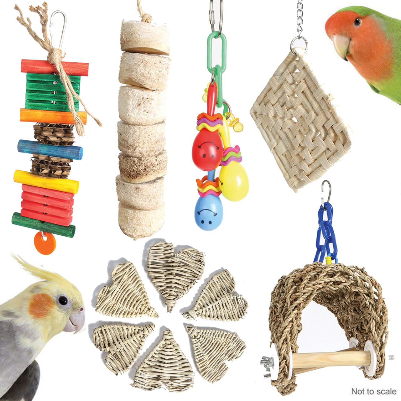 An image of Northern Parrot Cockatiel and Small Parrot Toy Pack