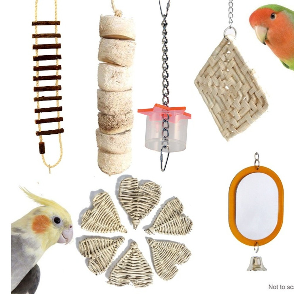 An image of Northern Parrot Cockatiel and Small Parrot Toy Pack