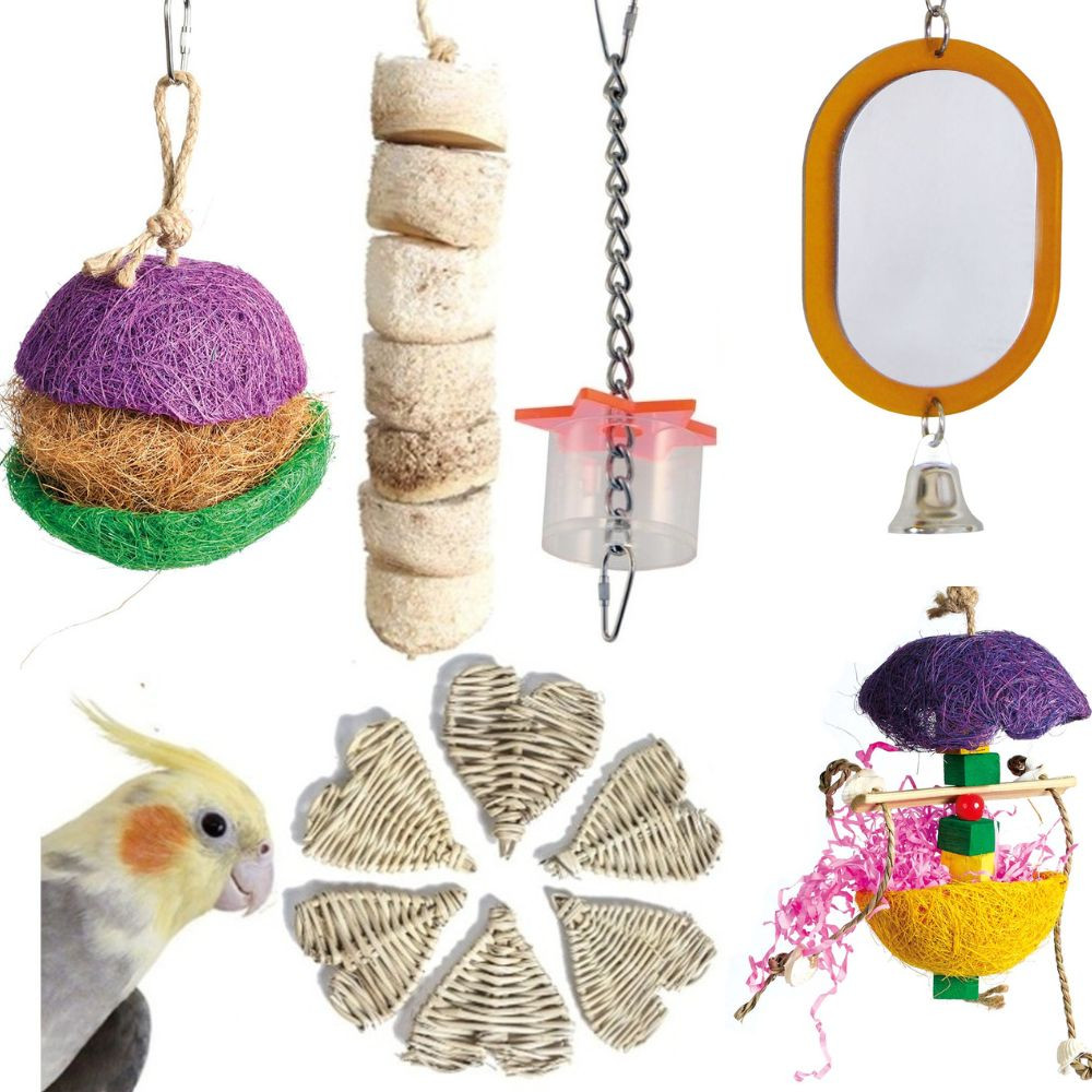 An image of Northern Parrots Small Parrot Toy Pack
