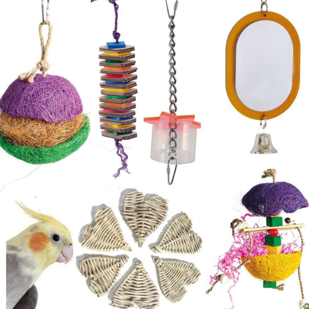 An image of Northern Parrots Small Parrot Toy Pack