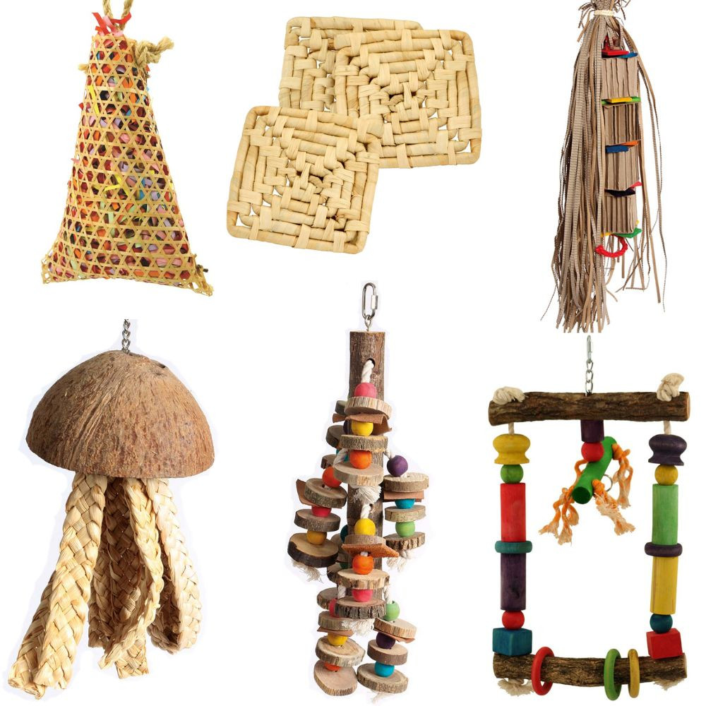 An image of Northern Parrots Super Spring Parrot Toy Bundle