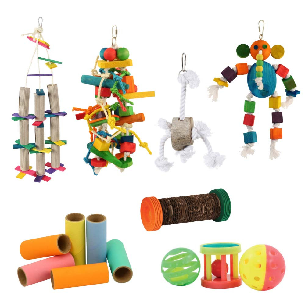 An image of Northern Parrots Super Spring Parrot Toy Bundle