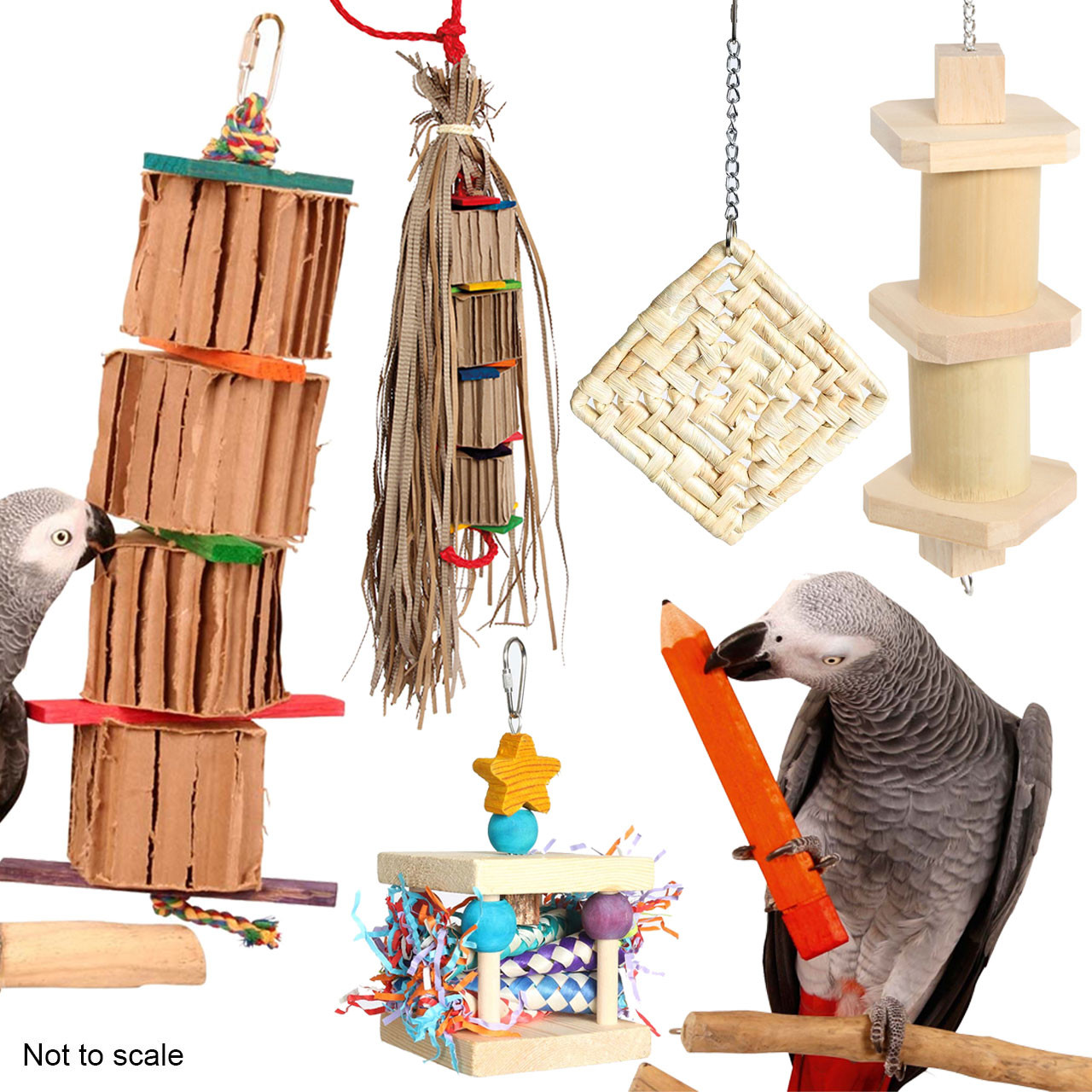 An image of Northern Parrots African Grey Parrot Toy Sale Pack