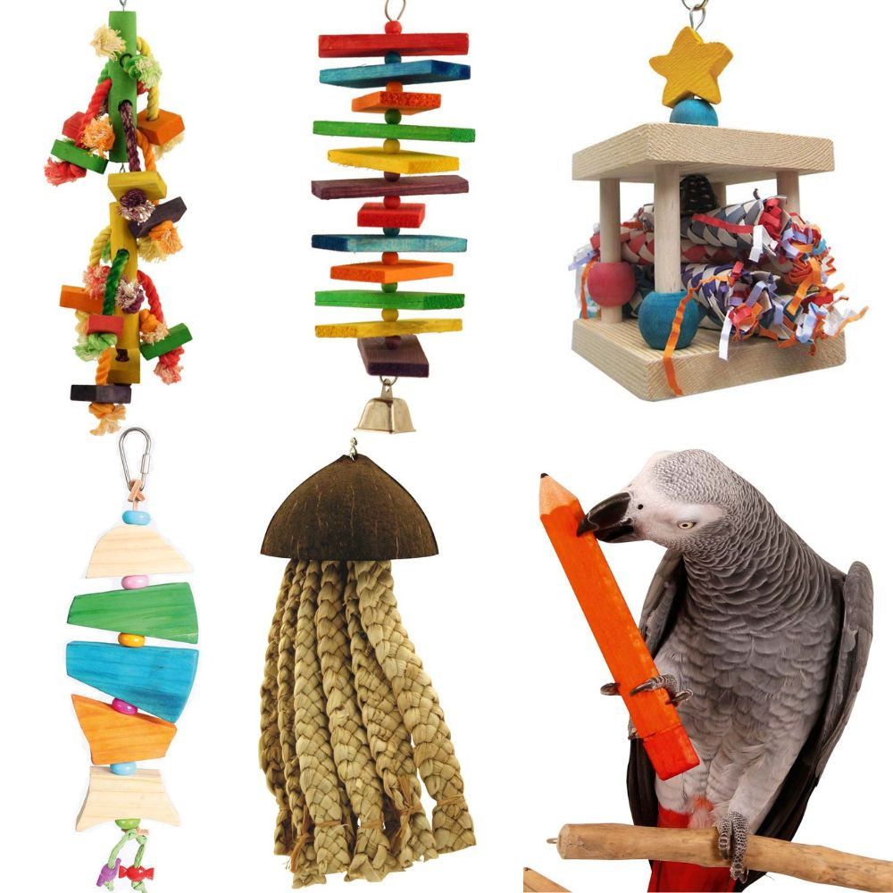 An image of Northern Parrots African Grey Parrot Toy Sale Pack
