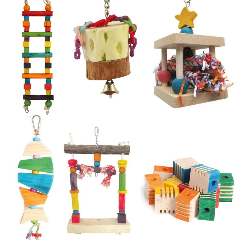 An image of Northern Parrots African Grey Parrot Toy Sale Pack