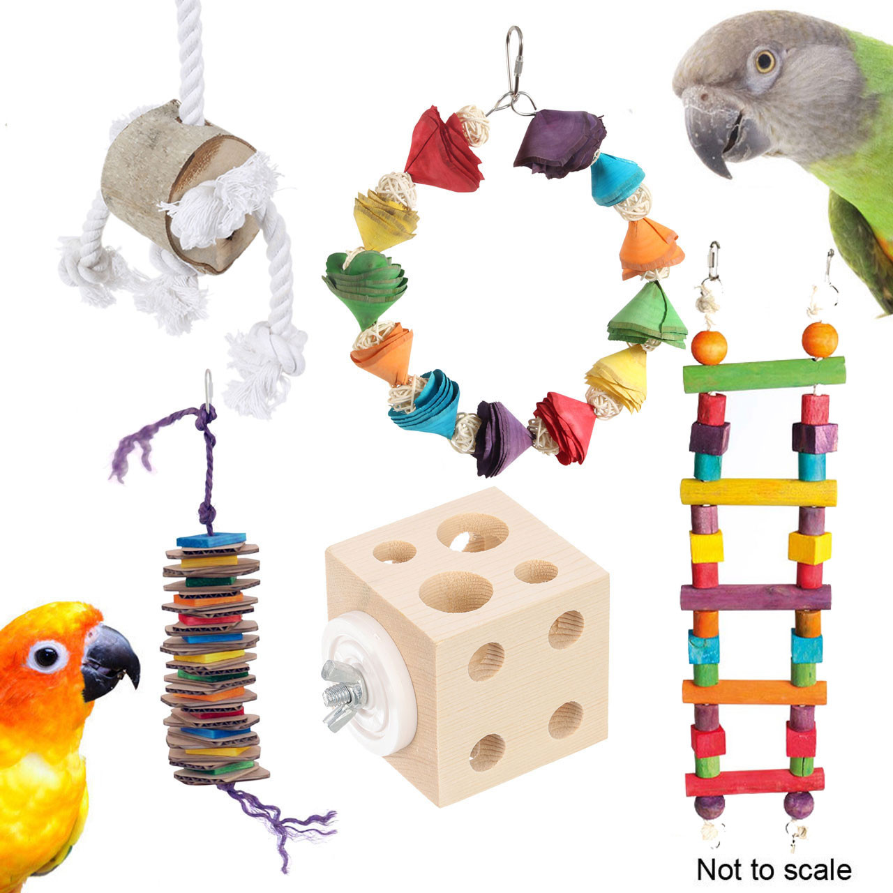 An image of Northern Parrots Senegal and Conure Toy Pack