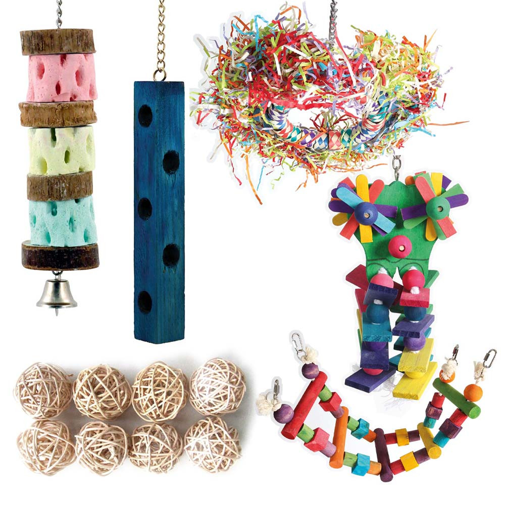 An image of Northern Parrots Sensational Summer Toy Pack