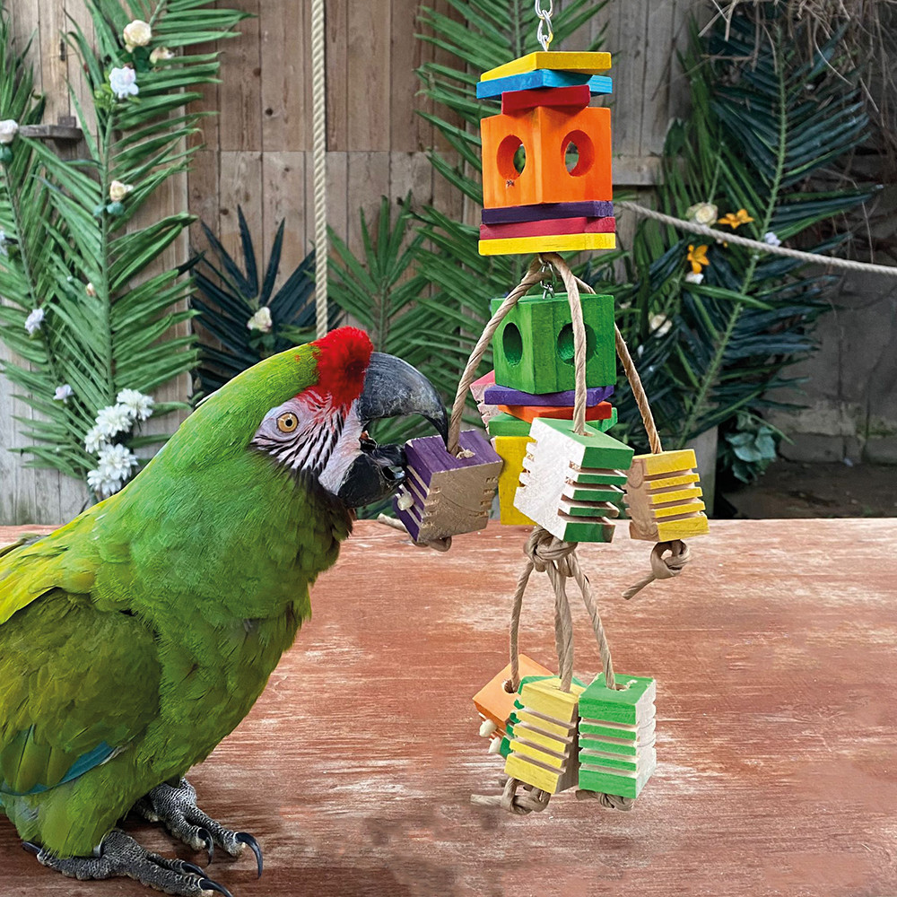 An image of Dancing Foraging Cubes Parrot Toy