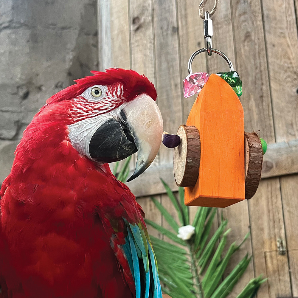 An image of Buoy Chewable Foraging Toy