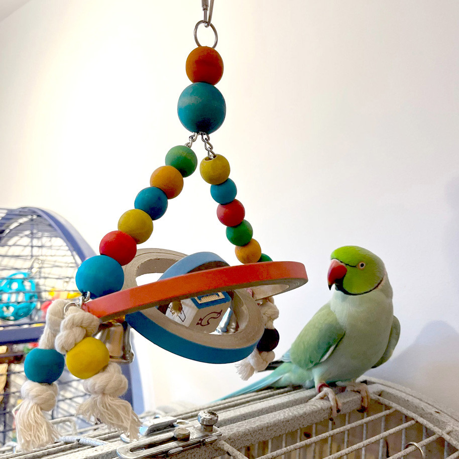 An image of Spin and Swing Bagels Parrot Toy