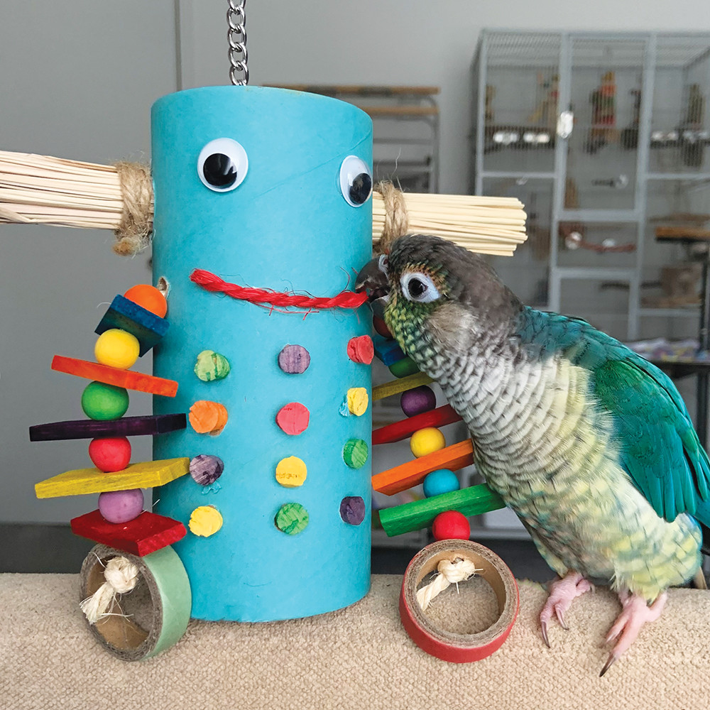 An image of Mr Robot Parrot Toy